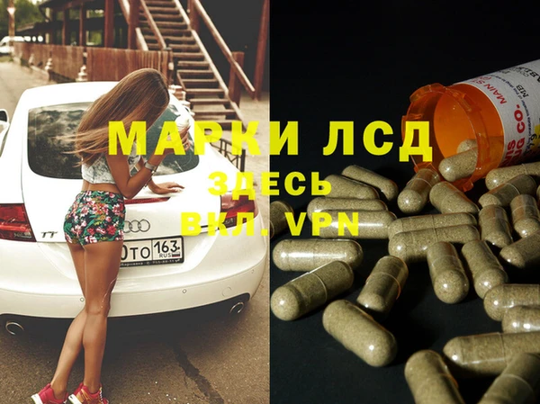 прущие грибы Вязники
