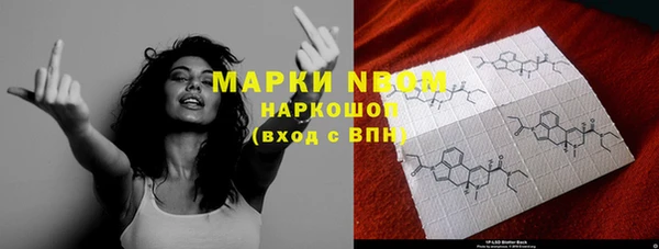 прущие грибы Вязники