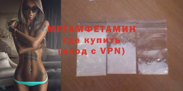 гидра Болотное