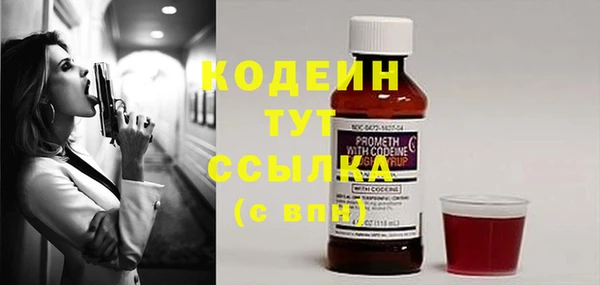 прущие грибы Вязники