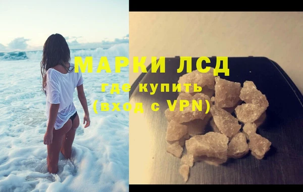 прущие грибы Вязники