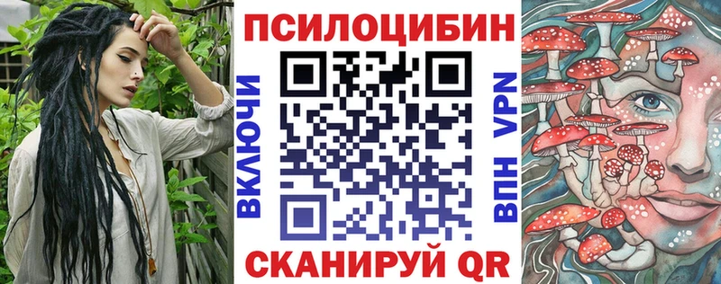 блэк спрут зеркало  Галич  Псилоцибиновые грибы Cubensis  цены  